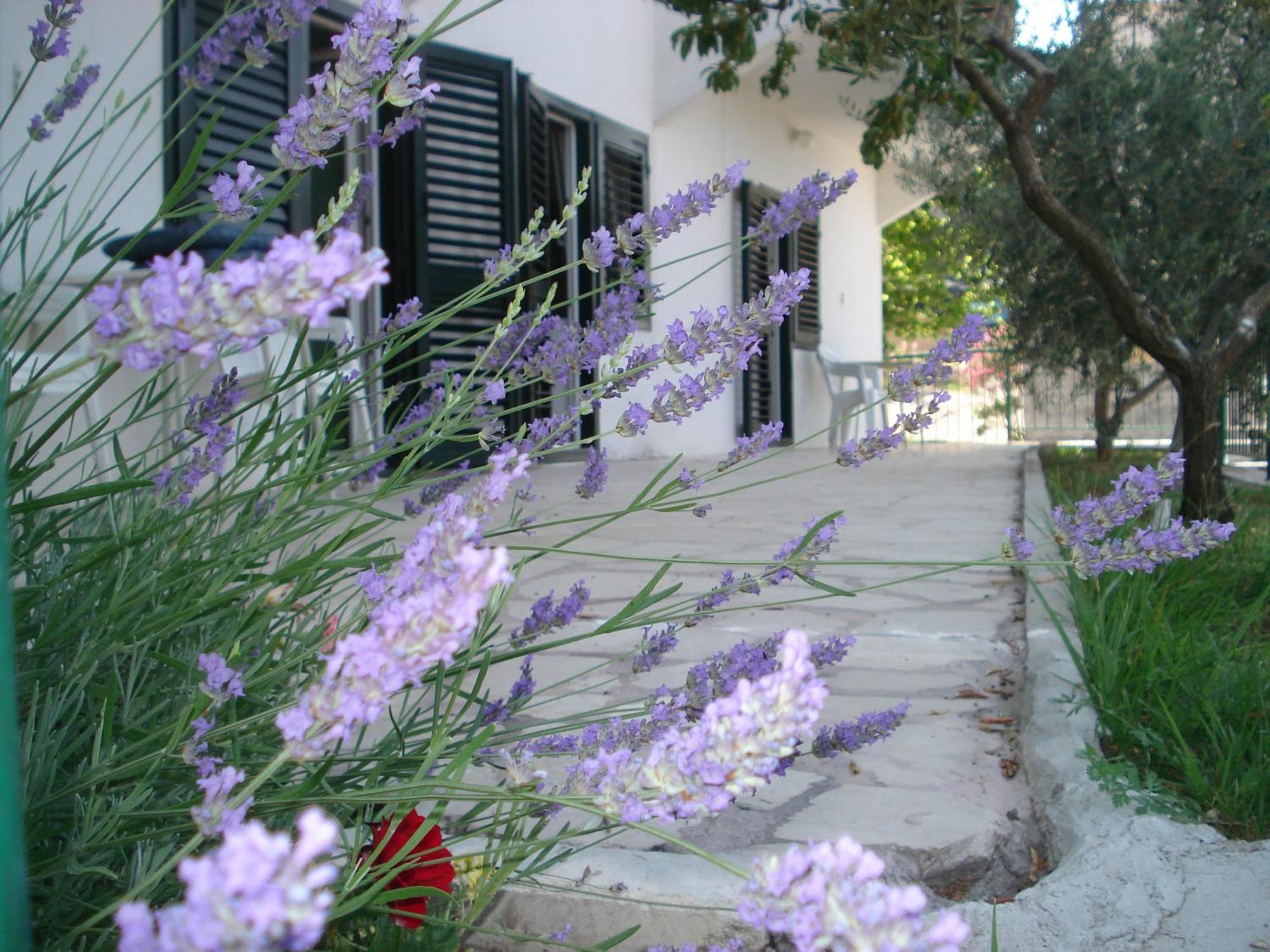Apartments Smiljana Omiš Exteriér fotografie
